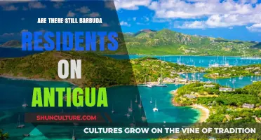 Barbuda Residents on Antigua: Displacement and Community Resilience Today