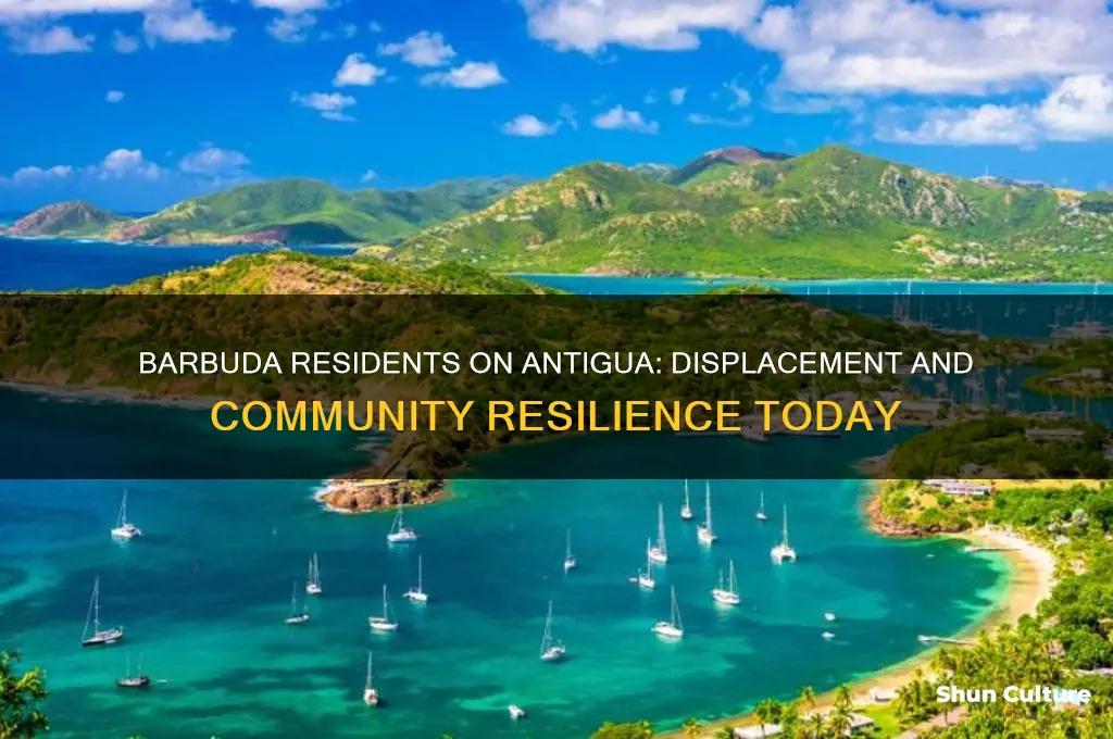 are there still barbuda residents on antigua