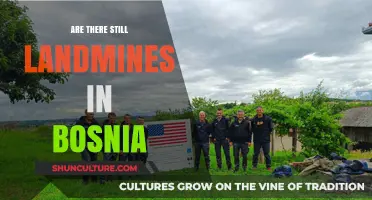 Bosnia's Lingering Landmine Legacy: Uncovering Hidden Dangers Decades After War
