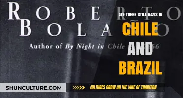 Neo-Nazism in Latin America: Uncovering Chile and Brazil's Extremist Presence
