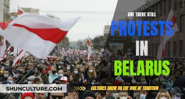 Protests in Belarus: Ongoing Resistance or Fading Momentum?