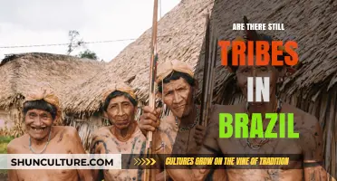 Exploring Brazil's Indigenous Tribes: Their Presence and Cultural Resilience Today