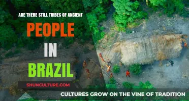 Uncontacted Tribes: Ancient Indigenous Communities Still Thriving in Brazil?
