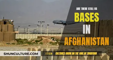 The Lingering US Military Presence in Afghanistan: Examining the Remaining Bases