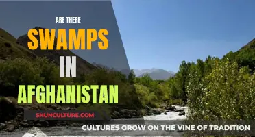 The Swamps of Afghanistan: Uncovering a Hidden Landscape