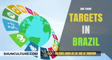 Exploring Brazil's Targeted Goals: What Are They Aiming For?