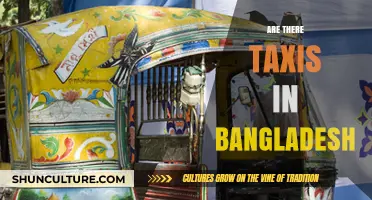 Exploring Bangladesh: Are Taxis a Common Transport Option?