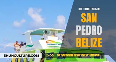 Exploring San Pedro, Belize: What's the Taxi Situation?