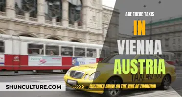 Taxi Services in Vienna, Austria: Availability and Options