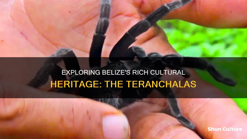 are there teranchalas in belize