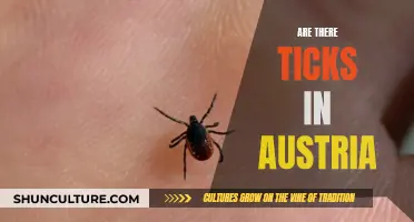 Ticks in Austria: What You Need to Know