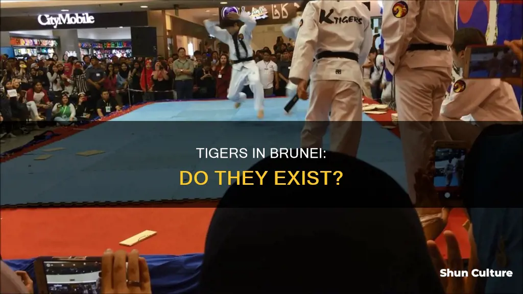 are there tigers in brunei