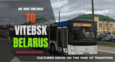 Exploring Vitebsk, Belarus: Tour Bus Options