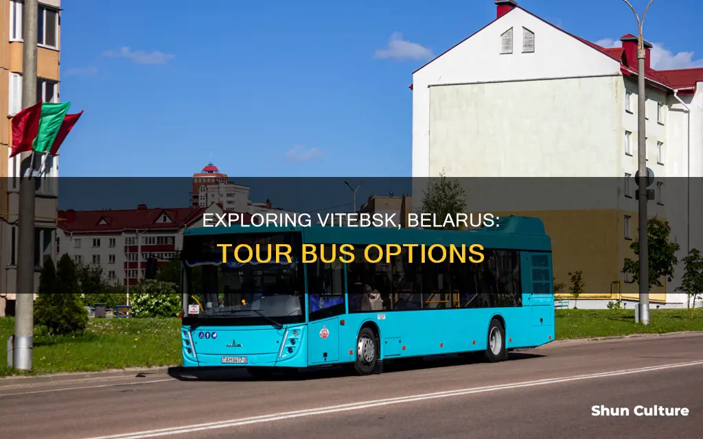 are there tour buses to vitebsk belarus