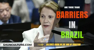 Exploring Brazil's Trade Barriers: Challenges and Opportunities for Global Commerce