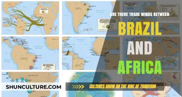 Exploring Trade Winds: Brazil-Africa Connection and Oceanic Patterns