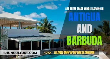 Trade Winds in Antigua and Barbuda: A Weather Mystery