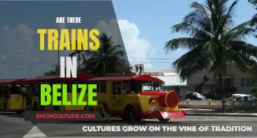 Exploring Belize: Trains and Travel Options