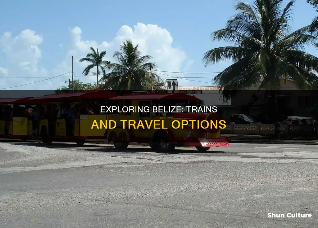 are there trains in belize