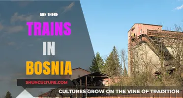 Exploring Bosnia's Railways: Are There Trains in Bosnia?