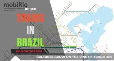 Exploring Brazil's Railway Network: Trains in the Land of Samba