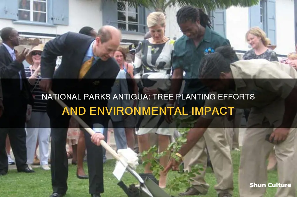 are there trees being planted at national parks antigua