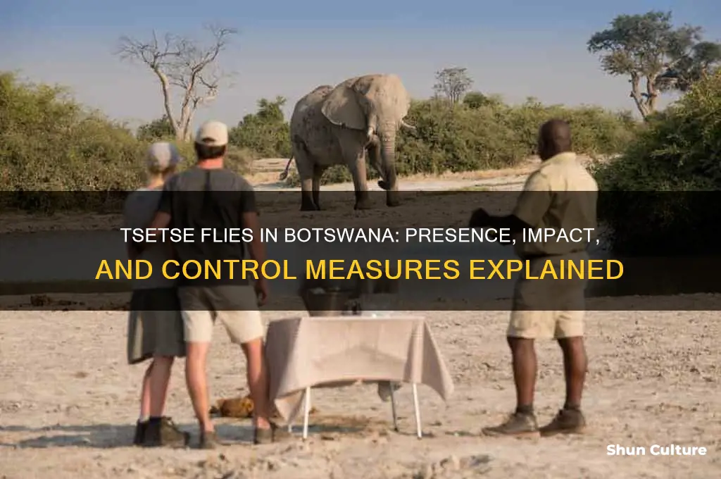 are there tsetse flies in botswana
