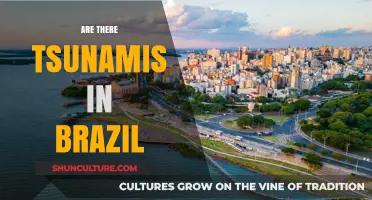 Do Tsunamis Threaten Brazil's Coastline? Exploring the Risks and Realities