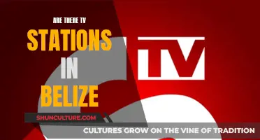 Belize's TV Stations: What's Available?