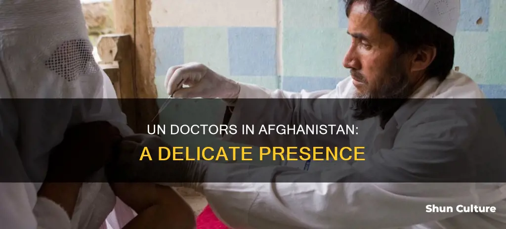 are there un doctors in afghanistan