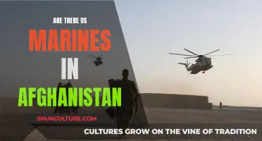 US Marine Presence in Afghanistan: A Complex Engagement