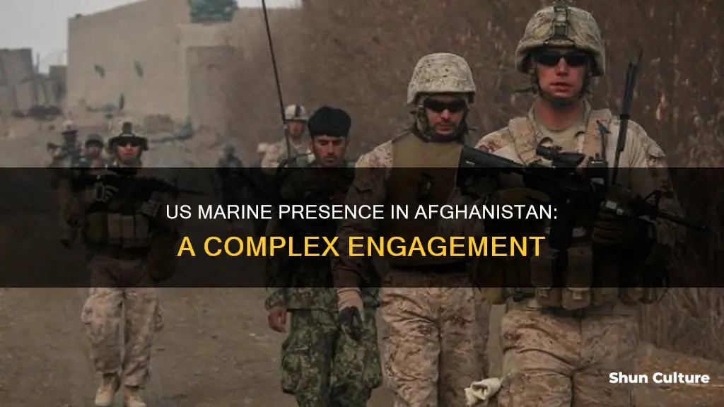 are there us marines in afghanistan