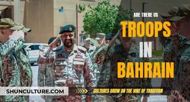 US Military Presence in Bahrain: Understanding Troop Deployment