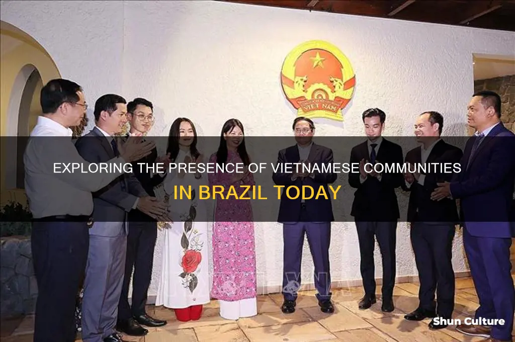 are there vietnamese people in brazil