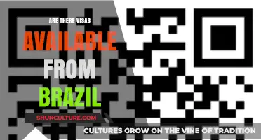 Exploring Visa Options for Brazilians: Availability and Requirements