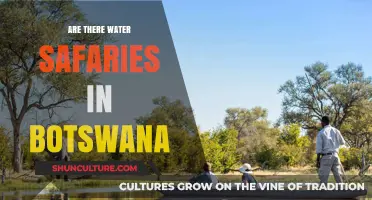 Exploring Botswana's Water Safaris: Unique Aquatic Adventures in the Okavango Delta