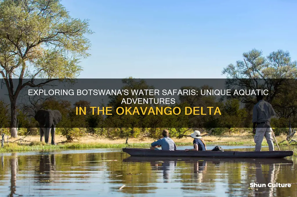 are there water safaries in botswana