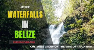 Exploring Belize's Waterfalls: A Natural Wonder