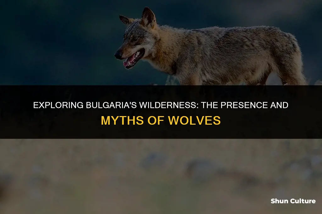 are there wolves in bulgaria