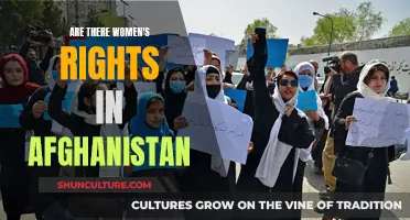 The Plight of Afghan Women: A Struggle for Basic Rights and Freedom