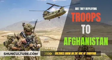 Troop Deployment in Afghanistan: A Strategic Maneuver or a Risky Venture?