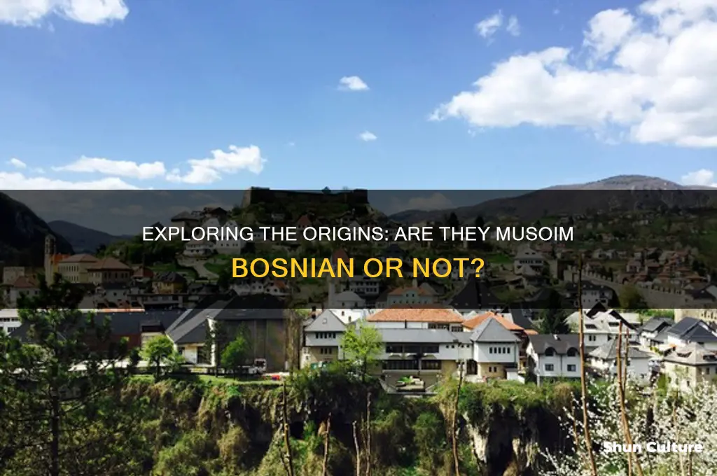 are they musoim bosnian