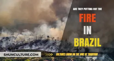 Brazil's Burning Crisis: Are Efforts Enough to Extinguish the Flames?
