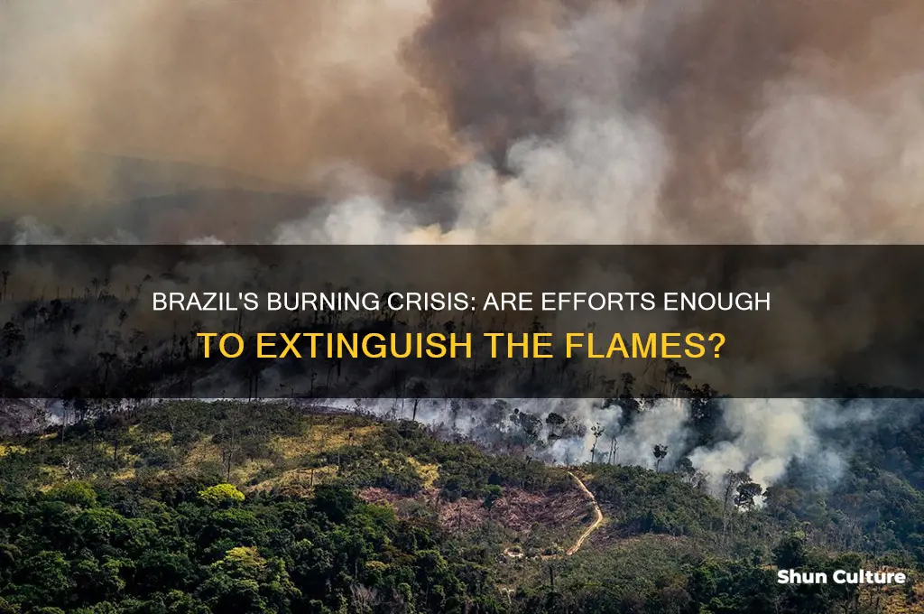 are they putting out the fire in brazil