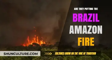 Brazil's Amazon Ablaze: Uncovering the Truth Behind the Devastating Fires