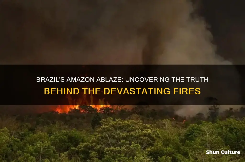 are they putting the brazil amazon fire