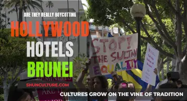 Brunei's Anti-LGBTQ Laws: Hollywood's Hotel Boycott