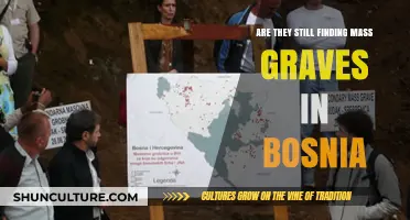 Bosnia's Unhealed Wounds: Ongoing Discovery of Mass Graves Reveals War's Legacy