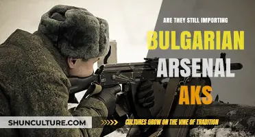 Bulgarian Arsenal AKs: Analyzing Current Import Trends and Future Prospects