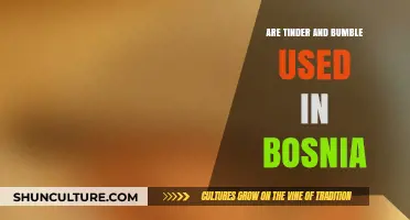 Tinder and Bumble in Bosnia: Dating App Usage Trends Explored
